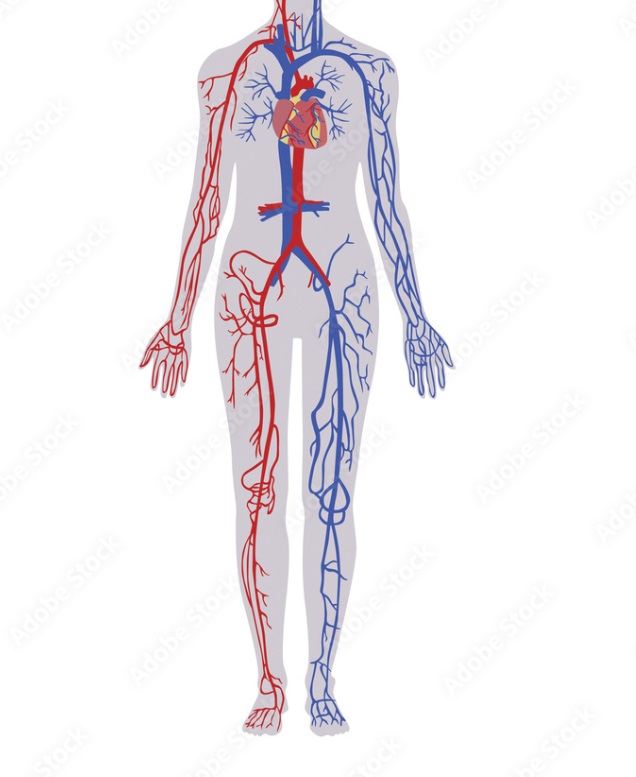 Interventional Radiology